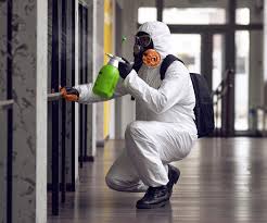 Professional Mold Removal Services in South Milwaukee, WI